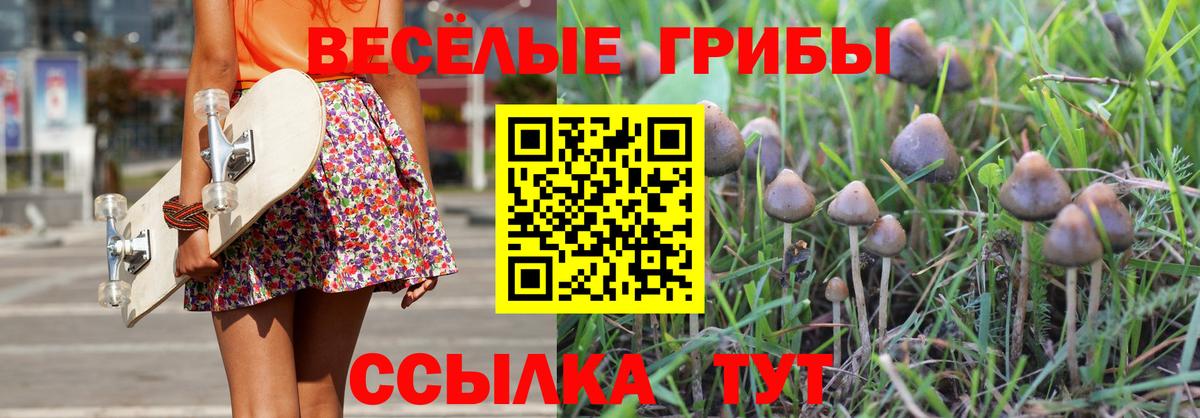 Галлюциногенные грибы мухоморы  Вход с VPN  Иваново 